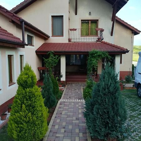 Casa Doina Apartment Baile Felix Ngoại thất bức ảnh